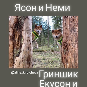 IMG_20200322_192151_880