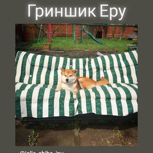 IMG_20200506_191737_424