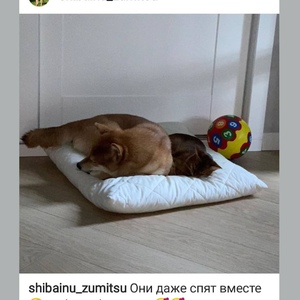 Screenshot_20201224_115016_com.instagram.android