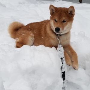 IMG-20190213-WA0007