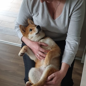 IMG-20190308-WA0006
