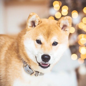 IMG-20191201-WA0004