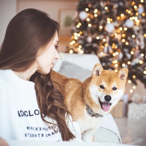IMG-20191201-WA0020