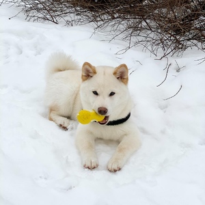 IMG-20200215-WA0003