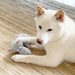 IMG-20200415-WA0005