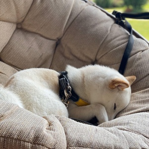 IMG-20200525-WA0012