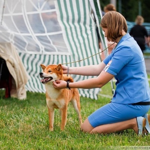 IMG_20190810_180650