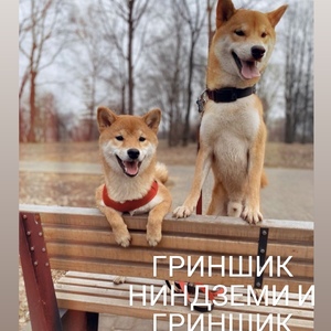IMG_20200309_193028_012