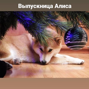 IMG_20210101_122822_427