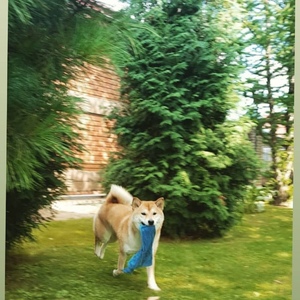 Screenshot_20201224_115006_com.instagram.android