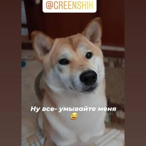 Screenshot_20201224_115054_com.instagram.android