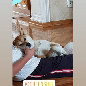 Screenshot_20201224_115114_com.instagram.android