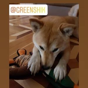 Screenshot_20201224_115121_com.instagram.android