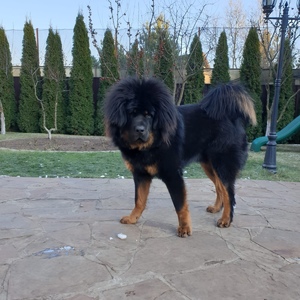IMG-20191202-WA0003