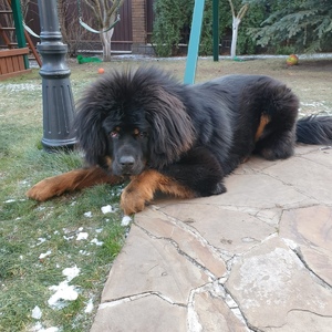IMG-20191202-WA0004