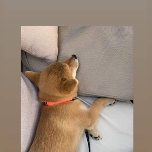 Screenshot_20201224_115014_com.instagram.android