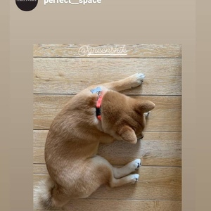Screenshot_20201224_115021_com.instagram.android