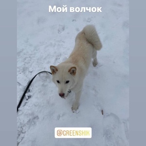 Screenshot_20201224_115152_com.instagram.android