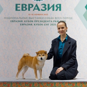 7cdbbef1-b03f-41f0-aaaa-9dadc4dc2e40