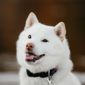 0054b142-b764-43bf-bac7-3f3540181d14