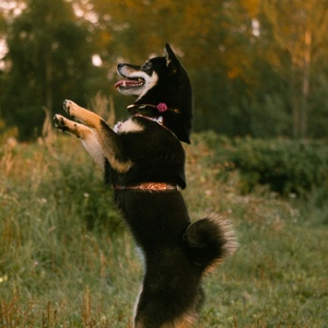 54e6e0a5-020e-440e-9a4e-455b16240ad7