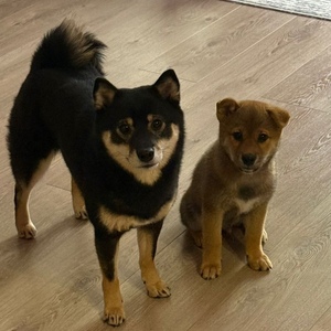 87734617-376b-4e77-8874-04b4707ef5cf