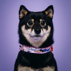 894df73f-96ca-470a-a6b7-bd9faba82132