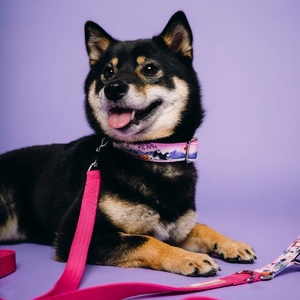 a82e29d9-04d2-4163-b711-06a58fa0e424