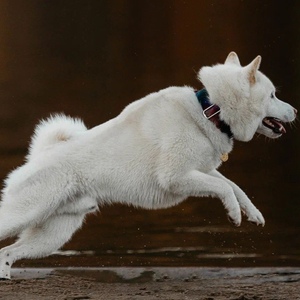 c15f9740-9b37-42a9-b069-ee4f9df58bb9