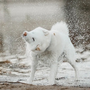 e12f49b0-dda3-4cad-aab8-7dfc2599b7f6