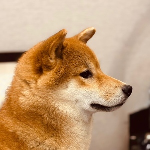 2f752a98-9cc4-4f0a-a831-e5ae2e9039ed