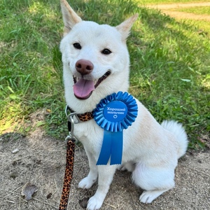 6ccb6e3e-c9fa-4ff1-be75-10e5a3cdb205