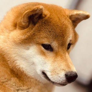 b4ebded8-09b0-48b1-a2ff-edd758630d7d