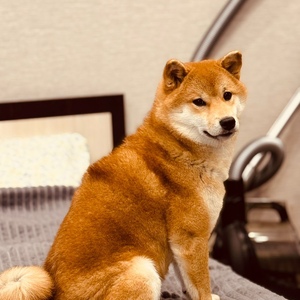 c1fc6bde-a3c3-431e-9dc3-f10576482cd9