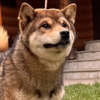 6 месяцев