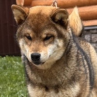 6 месяцев