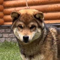6 месяцев